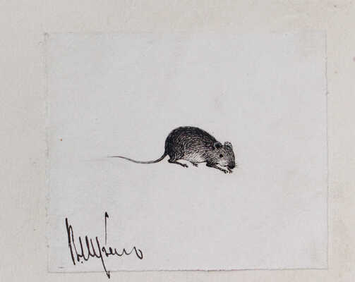 Шрейдер Влад[имир]. Альбом с зарисовками и шаржами